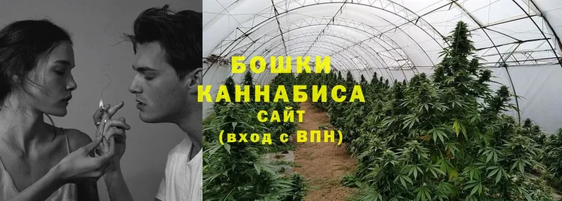 Канабис SATIVA & INDICA  Кашин 